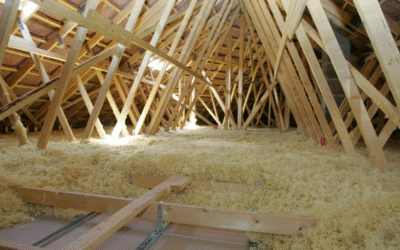 Isolation écolo : liège, chanvre et bois en duel durable